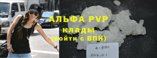 твердый Арсеньев