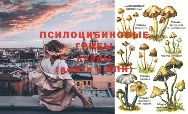 спиды Алексин