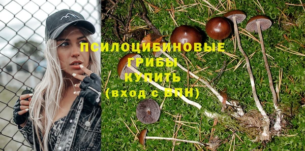 спиды Алексин